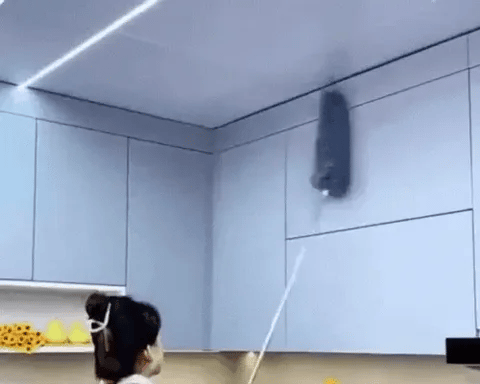 Stainless Flexible Duster For Fan Cleaning Mop With Extendable Long Rod