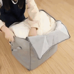 (Pack of 3) Cartoon Animal Foldable Storage Organizer Bags with Zippers And Handles