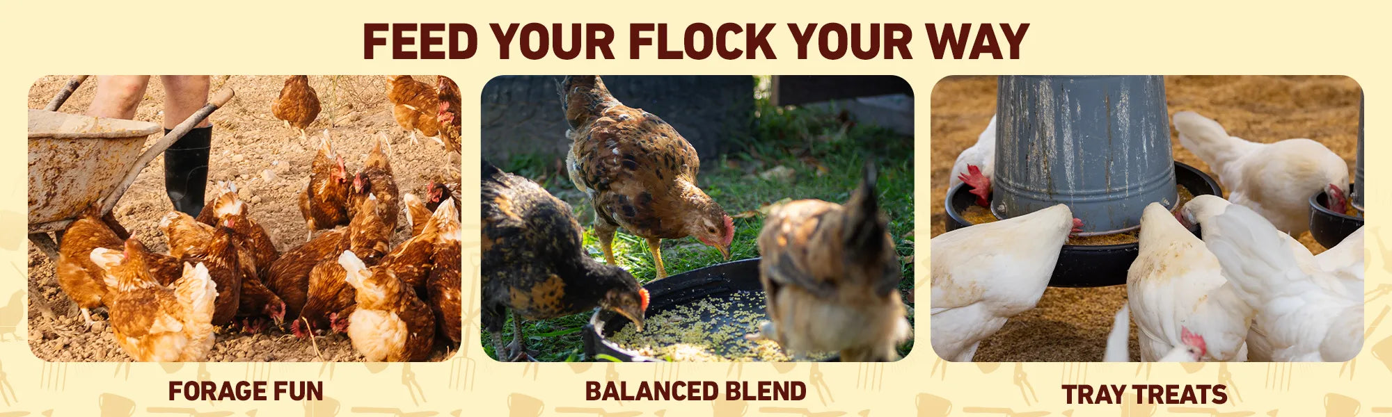 Charcoal Anti-Blackhead Whitening Facial Kit with Bleach – 6 Step Deep Cleansing Facial