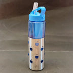 Frozen Steel Water Bottle – Stainless Steel Bottle with Straw