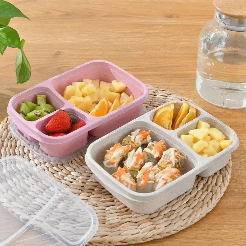 Pack of 2 Student Lunch Box (Small) – Compact 3 Compartment Lunch Box for Kids