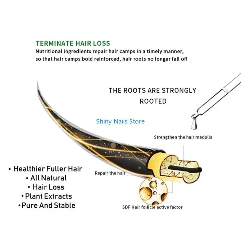 Hair Growth Essential Oil – Anti Hair Fall & DHT Blocker Formula | Strong, Thick & Healthy Hair Oil