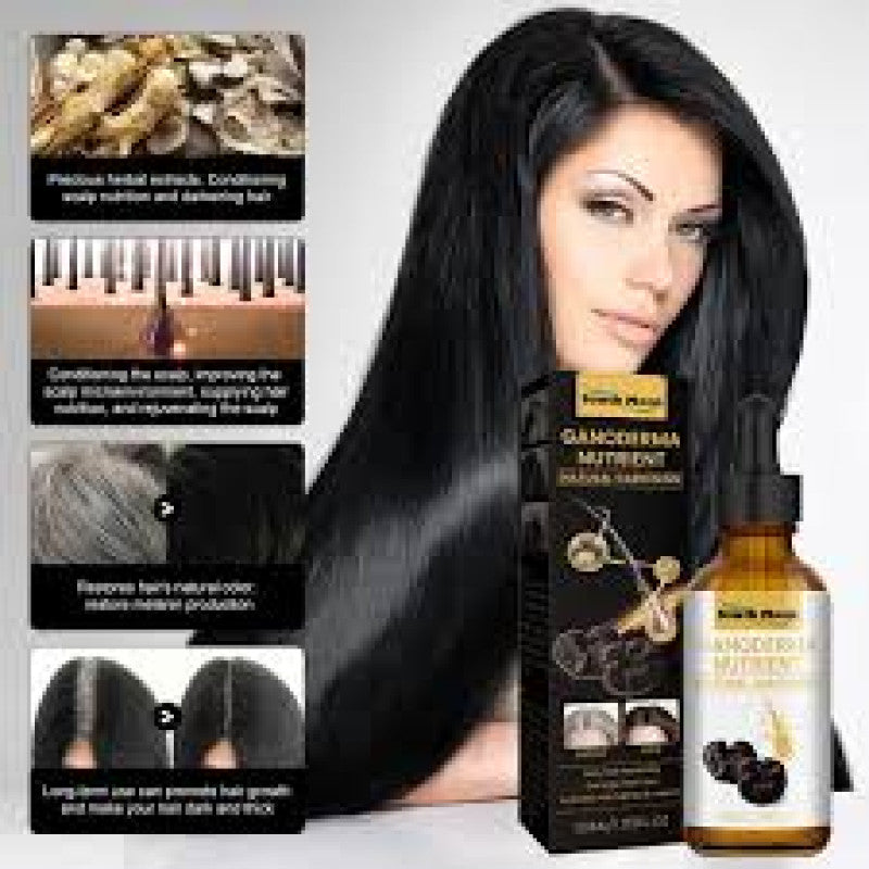 Black Hair Oil – Ganoderma Nutrient Natural Darkening Oil