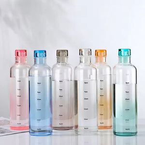 Glass Time Line Water Bottle 500ML – Hydration Tracker Bottle