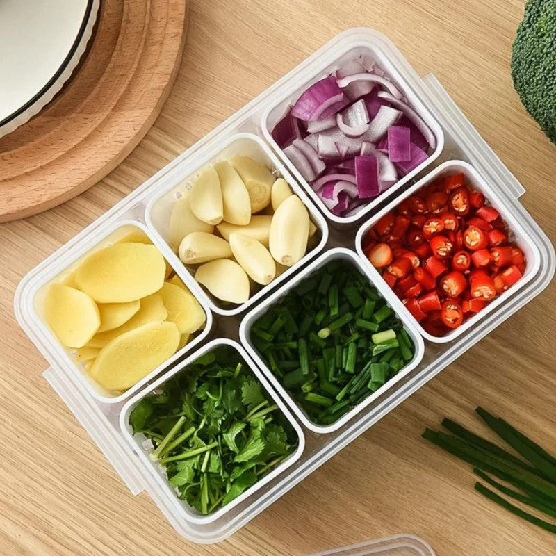 6 Grid Fridge Storage Box – Multi Compartment Organizer | Freezer Safe Kitchen Storage Box