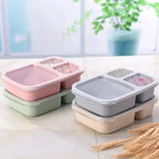 Pack of 2 Student Lunch Box (Small) – Compact 3 Compartment Lunch Box for Kids