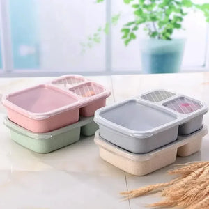 Pack of 2 Student Lunch Box (Small) – Compact 3 Compartment Lunch Box for Kids