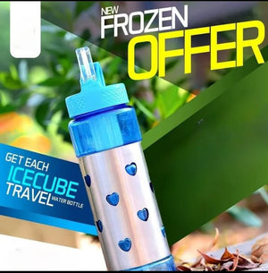 Frozen Steel Water Bottle – Stainless Steel Bottle with Straw