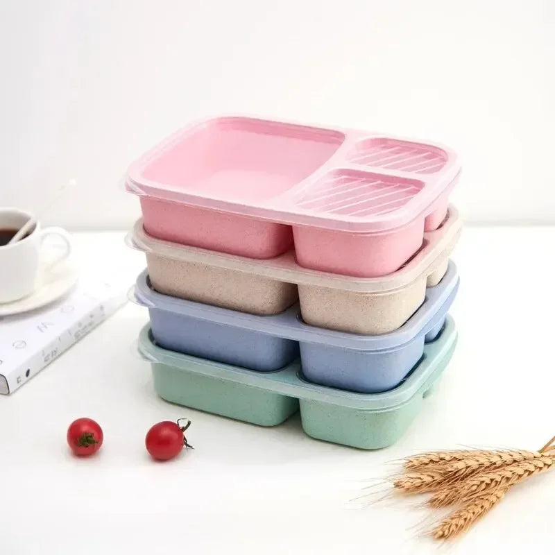 Pack of 2 Student Lunch Box (Small) – Compact 3 Compartment Lunch Box for Kids