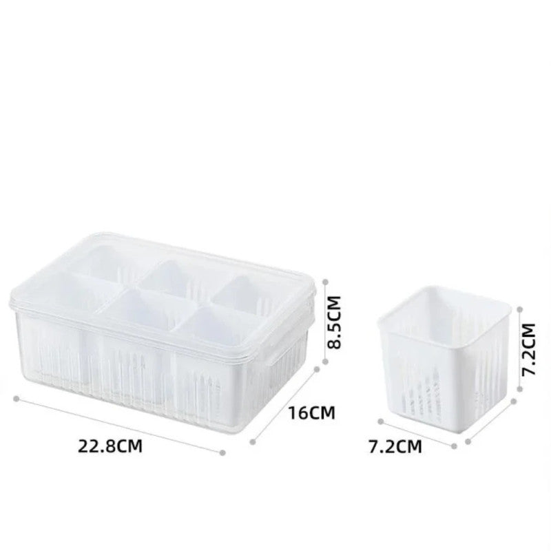 6 Grid Fridge Storage Box – Multi Compartment Organizer | Freezer Safe Kitchen Storage Box