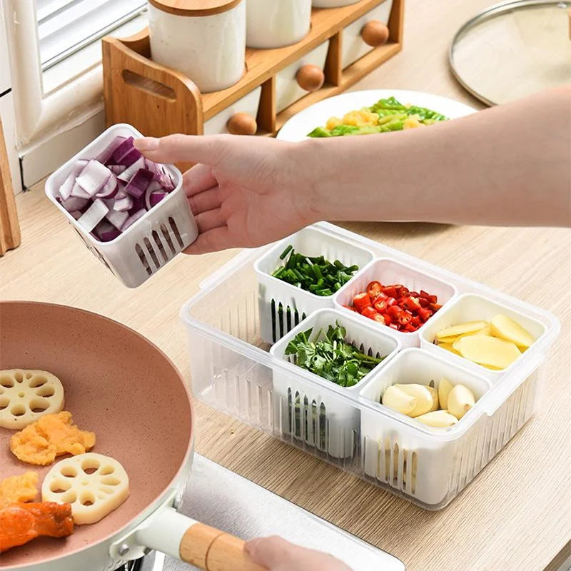 6 Grid Fridge Storage Box – Multi Compartment Organizer | Freezer Safe Kitchen Storage Box