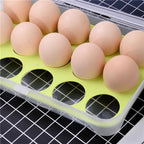 15 Grid Egg Storage Box – Classic Fridge Egg Tray with Lid | Stackable Egg Holder Container