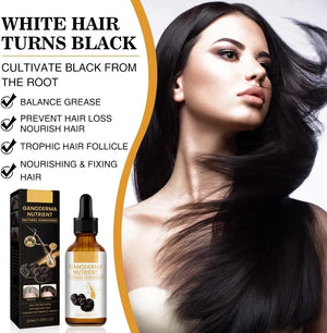 Black Hair Oil – Ganoderma Nutrient Natural Darkening Oil