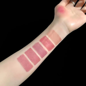 5 in 1 Lipstick Palette – Multi Shade Matte Lipstick Stick | Long Lasting Travel Friendly Lip Colors