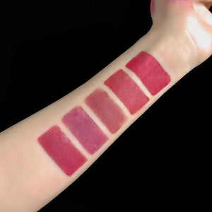 5 in 1 Lipstick Palette – Multi Shade Matte Lipstick Stick | Long Lasting Travel Friendly Lip Colors