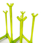 Glass Drying Stand – Plastic Cup Holder Rack | Kitchen Glass Organizer & Drain Stand