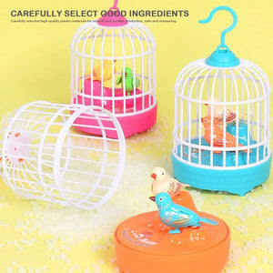 Bird Cage Toy for Kids – Musical Light-Up Bird Cage with Sound & Motion