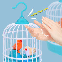 Cell Operated Voice Control Vivid Appearance Birds Cage Toy with Box For Kids and Baby