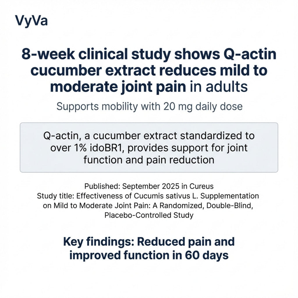 Long Wallet with Mobile & Passport Holder in Buffalo Leather High Premium Quality