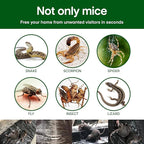 Imported Sticky Mouse & Rat Trap Sheet with Powerful Stickiness & Highly Adhesive Bond