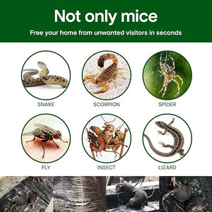 Imported Sticky Mouse & Rat Trap Sheet with Powerful Stickiness & Highly Adhesive Bond