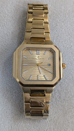 Danel Power Golden Edition Men Watch