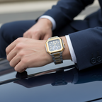 Danel Power Silver & Black Dial with Gold-Line Men Watch