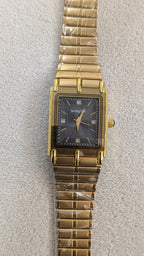 Swingstar Golden & Black Dial Man Watch
