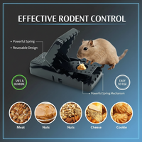 Reusable Mouse Traps