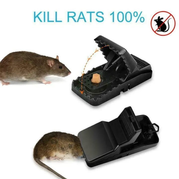 Reusable Mouse Traps