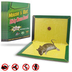 Rat Killer Glue Board